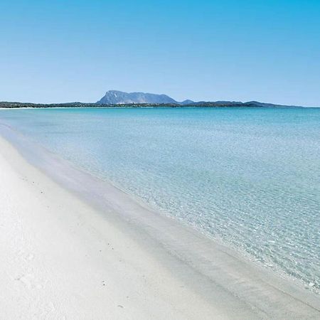 Villetta La Perla - 779492 ซาน เตโอโดโร ภายนอก รูปภาพ